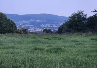 Silleda to Dornelas