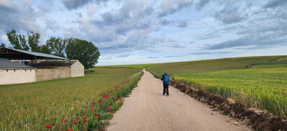 Day 7 – Los Huertos to Santa Maria La Real de Nieva