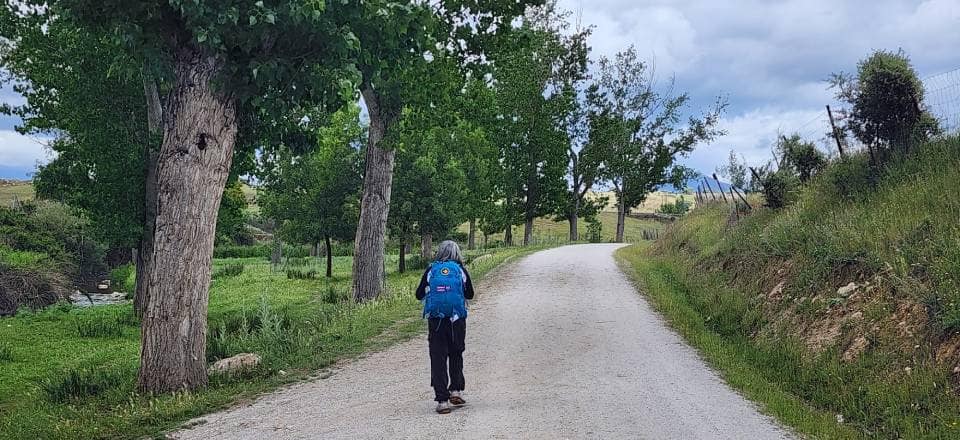 Madrid to Colmenar Viejo