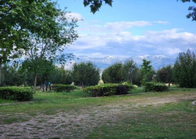 Colmenar Viejo to Manzanares