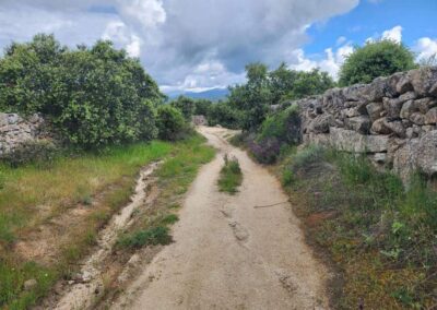 Colmenar Viejo to Manzanares