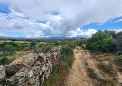 Colmenar Viejo to Manzanares