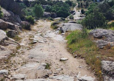 Colmenar Viejo to Manzanares