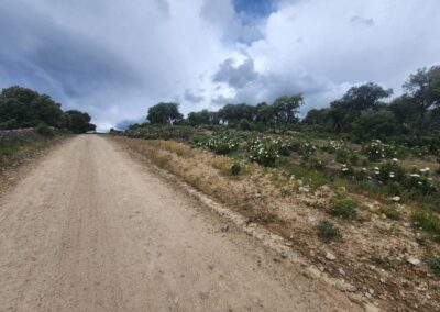 Colmenar Viejo to Manzanares