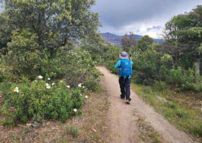 Colmenar Viejo to Manzanares
