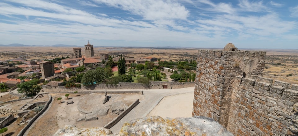 Camino Planning and Waiting