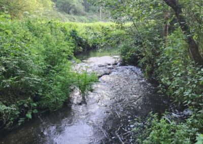 Botos to Silleda