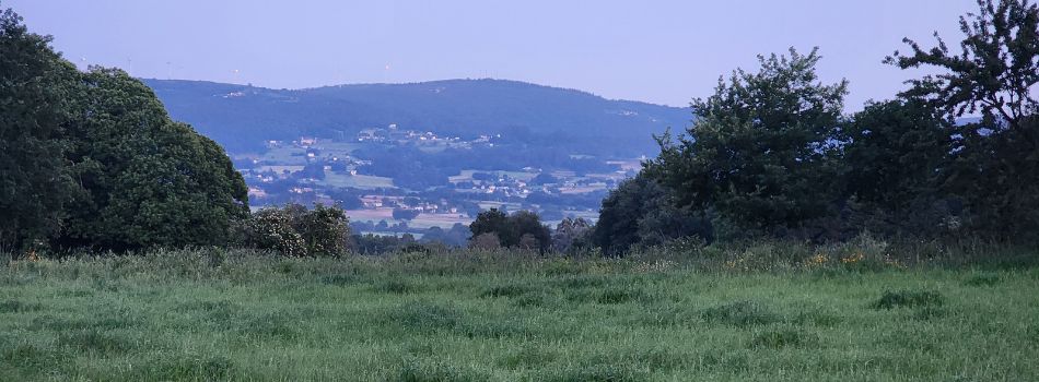 Day 16 - Silleda to Dornelas - landscape
