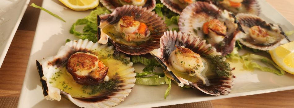 Day 20 - Muxia to Lires - scallop