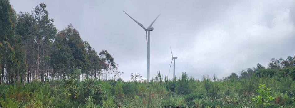 Day 20 - Muxia to Lires - wind turbines