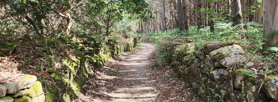 Day 3 - Fisterra to Corcubion - through the forest