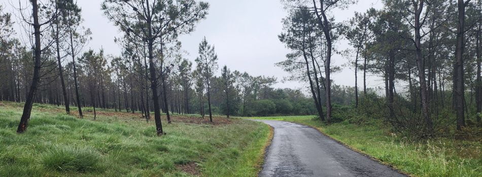 Day 5 - O Logoso to Santa Mariña-rainy walk