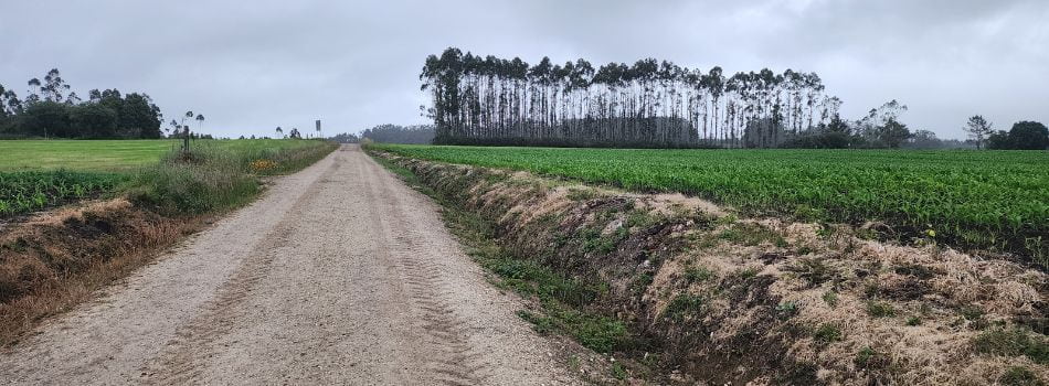 Day 6 - Santa Mariña to Negreira - rural road