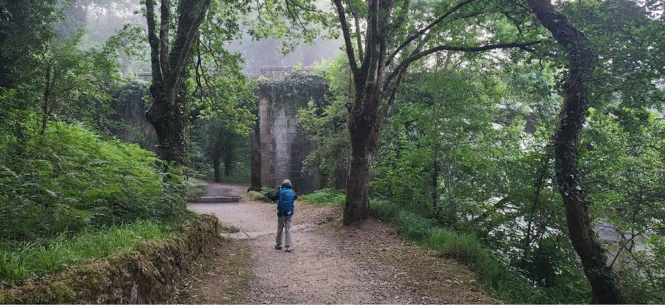 2nd Camino – Day 7 – Negreira to Santiago