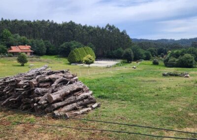 Negreira to Santiago