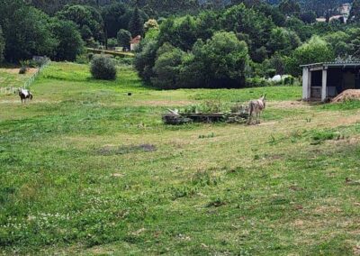 Negreira to Santiago