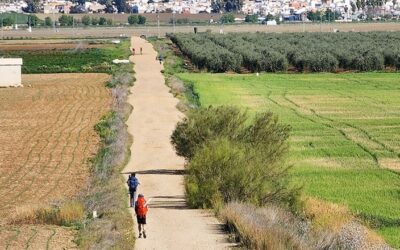 Frequently Asked Questions About the Camino de Santiago